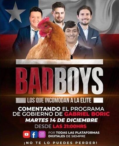 gallina