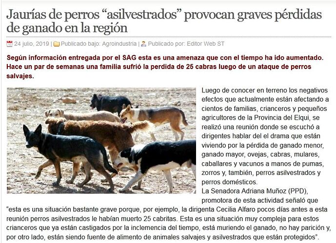 Screenshot-2019-9-4 Jaurías de perros “asilvestrados” provocan graves pérdidas de ganado en la región Semanario Tiempo