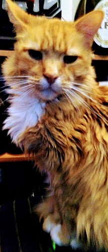 39080118_10156807808464009_196662090012819456_o